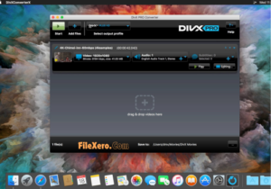 DivX Converter