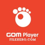 gom player download pc